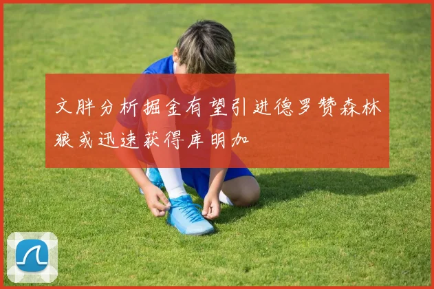 文胖分析掘金有望引进德罗赞森林狼或迅速获得库明加