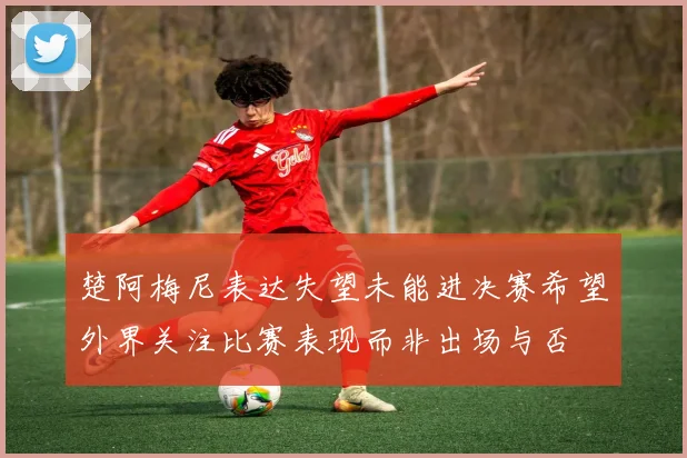 楚阿梅尼表达失望未能进决赛希望外界关注比赛表现而非出场与否